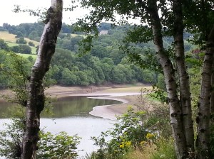 Toddbrook reservoir (2)