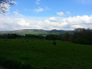 Hen Cloud and the Roaches (I think)